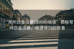 “常州白金漢爵1800的暗語(yǔ)”揭秘常州白金漢爵，暗語(yǔ)背后的故事