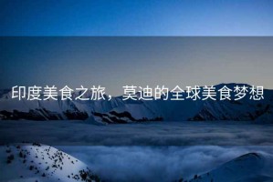 印度美食之旅，莫迪的全球美食夢想