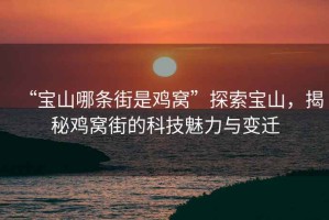 “寶山哪條街是雞窩”探索寶山，揭秘雞窩街的科技魅力與變遷