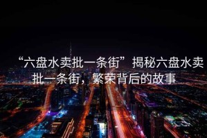 “六盤水賣批一條街”揭秘六盤水賣批一條街，繁榮背后的故事