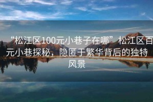“松江區(qū)100元小巷子在哪”松江區(qū)百元小巷探秘，隱匿于繁華背后的獨特風景