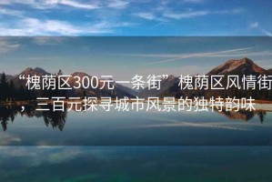 “槐蔭區(qū)300元一條街”槐蔭區(qū)風情街，三百元探尋城市風景的獨特韻味