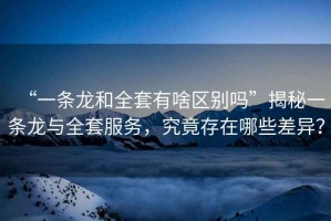 “一條龍和全套有啥區(qū)別嗎”揭秘一條龍與全套服務(wù)，究竟存在哪些差異？