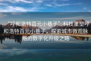“呼和浩特百元小巷子”科技重塑呼和浩特百元小巷子，探索城市微觀脈絡(luò)的數(shù)字化升級(jí)之路