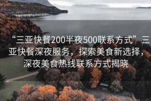 “三亞快餐200半夜500聯(lián)系方式”三亞快餐深夜服務(wù)，探索美食新選擇，深夜美食熱線聯(lián)系方式揭曉