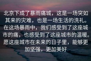 北京下成了暴雨痛城，這是一場(chǎng)突如其來(lái)的災(zāi)難，也是一場(chǎng)生活的洗禮。在這場(chǎng)暴雨中，我們感受到了這座城市的痛，也感受到了這座城市的溫暖。愿這座城市在未來(lái)的日子里，能夠更加堅(jiān)強(qiáng)，更加美好