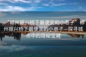 “郴州振興橋下最便宜的小巷子”郴州振興橋下最便宜的小巷子—探尋城市中的隱秘寶藏