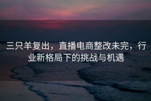 三只羊復(fù)出，直播電商整改未完，行業(yè)新格局下的挑戰(zhàn)與機(jī)遇