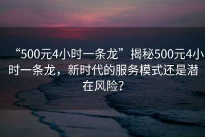 “500元4小時一條龍”揭秘500元4小時一條龍，新時代的服務(wù)模式還是潛在風險？