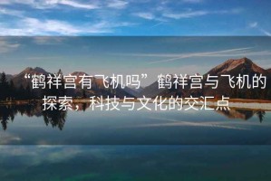 “鶴祥宮有飛機嗎”鶴祥宮與飛機的探索，科技與文化的交匯點