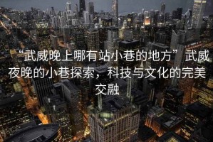 “武威晚上哪有站小巷的地方”武威夜晚的小巷探索，科技與文化的完美交融