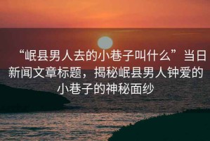 “岷縣男人去的小巷子叫什么”當(dāng)日新聞文章標(biāo)題，揭秘岷縣男人鐘愛的小巷子的神秘面紗