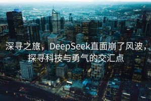 深尋之旅，DeepSeek直面崩了風(fēng)波，探尋科技與勇氣的交匯點(diǎn)