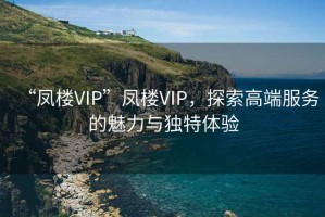 “鳳樓VIP”鳳樓VIP，探索高端服務的魅力與獨特體驗