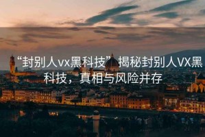 “封別人vx黑科技”揭秘封別人VX黑科技，真相與風(fēng)險并存