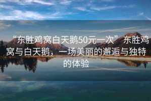 “東勝雞窩白天鵝50元一次”東勝雞窩與白天鵝，一場美麗的邂逅與獨特的體驗