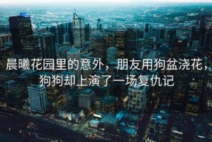 晨曦花園里的意外，朋友用狗盆澆花，狗狗卻上演了一場復(fù)仇記