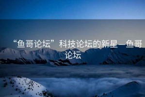 “魚哥論壇”科技論壇的新星—魚哥論壇