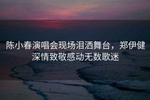陳小春演唱會現(xiàn)場淚灑舞臺，鄭伊健深情致敬感動無數(shù)歌迷