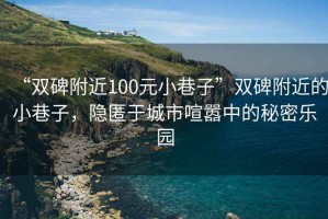 “雙碑附近100元小巷子”雙碑附近的小巷子，隱匿于城市喧囂中的秘密樂園