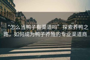 “怎么當(dāng)鴨子有渠道嗎”探索養(yǎng)鴨之路，如何成為鴨子養(yǎng)殖的專(zhuān)業(yè)渠道商