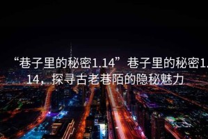 “巷子里的秘密1.14”巷子里的秘密1.14，探尋古老巷陌的隱秘魅力