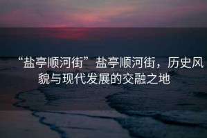 “鹽亭順河街”鹽亭順河街，歷史風(fēng)貌與現(xiàn)代發(fā)展的交融之地