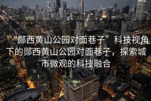 “鄖西黃山公園對面巷子”科技視角下的鄖西黃山公園對面巷子，探索城市微觀的科技融合