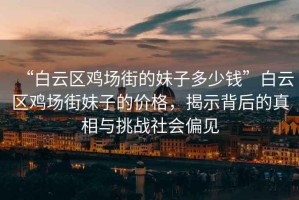 “白云區(qū)雞場街的妹子多少錢”白云區(qū)雞場街妹子的價格，揭示背后的真相與挑戰(zhàn)社會偏見
