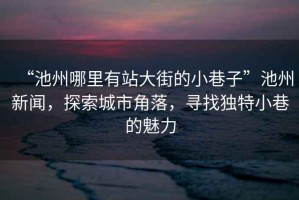 “池州哪里有站大街的小巷子”池州新聞，探索城市角落，尋找獨特小巷的魅力