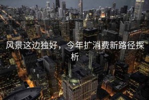 風(fēng)景這邊獨(dú)好，今年擴(kuò)消費(fèi)新路徑探析