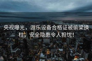 央視曝光，游樂設(shè)備合格證被偷梁換柱，安全隱患令人擔憂！