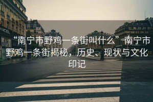 “南寧市野雞一條街叫什么”南寧市野雞一條街揭秘，歷史、現(xiàn)狀與文化印記