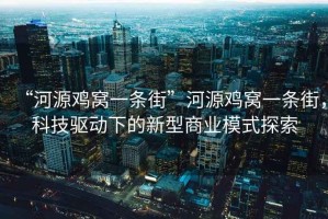 “河源雞窩一條街”河源雞窩一條街，科技驅動下的新型商業(yè)模式探索