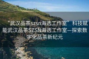 “武漢品茶szsn海選工作室”科技賦能武漢品茶SZSN海選工作室—探索數(shù)字化品茶新紀(jì)元