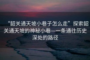 “韶關(guān)通天坡小巷子怎么走”探索韶關(guān)通天坡的神秘小巷—一條通往歷史深處的路徑