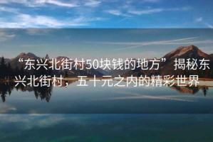 “東興北街村50塊錢(qián)的地方”揭秘東興北街村，五十元之內(nèi)的精彩世界