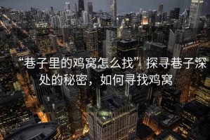 “巷子里的雞窩怎么找”探尋巷子深處的秘密，如何尋找雞窩