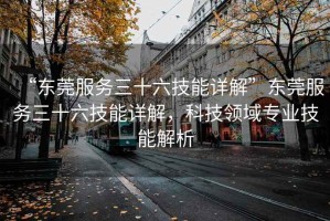 “東莞服務(wù)三十六技能詳解”東莞服務(wù)三十六技能詳解，科技領(lǐng)域?qū)I(yè)技能解析