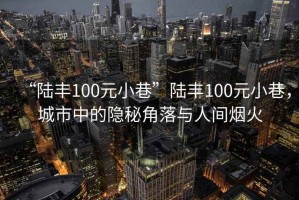 “陸豐100元小巷”陸豐100元小巷，城市中的隱秘角落與人間煙火
