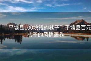“平塘縣100塊錢的巷子”平塘縣百元巷子的風(fēng)情畫卷