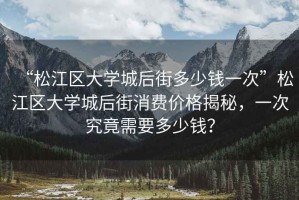 “松江區(qū)大學(xué)城后街多少錢一次”松江區(qū)大學(xué)城后街消費(fèi)價(jià)格揭秘，一次究竟需要多少錢？