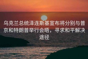 烏克蘭總統(tǒng)澤連斯基宣布將分別與普京和特朗普舉行會(huì)晤，尋求和平解決途徑