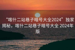 “喀什二站巷子暗號(hào)大全2024”獨(dú)家揭秘，喀什二站巷子暗號(hào)大全 2024年版
