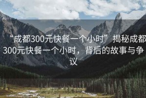 “成都300元快餐一個小時”揭秘成都300元快餐一個小時，背后的故事與爭議