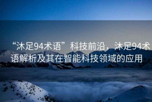 “沐足94術(shù)語”科技前沿，沐足94術(shù)語解析及其在智能科技領(lǐng)域的應(yīng)用