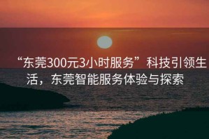 “東莞300元3小時服務(wù)”科技引領(lǐng)生活，東莞智能服務(wù)體驗與探索