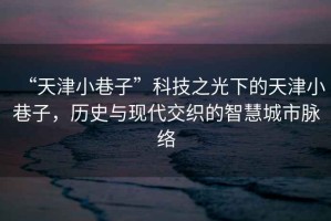 “天津小巷子”科技之光下的天津小巷子，歷史與現(xiàn)代交織的智慧城市脈絡(luò)