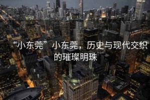 “小東莞”小東莞，歷史與現(xiàn)代交織的璀璨明珠