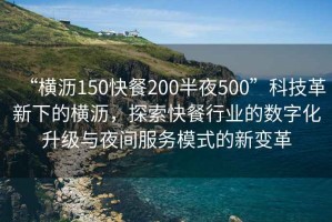 “橫瀝150快餐200半夜500”科技革新下的橫瀝，探索快餐行業(yè)的數(shù)字化升級(jí)與夜間服務(wù)模式的新變革